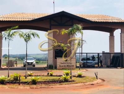 Terreno para Venda, em Paul�nia, bairro Vila Monte Alegre