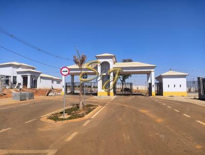imagem-miniatura